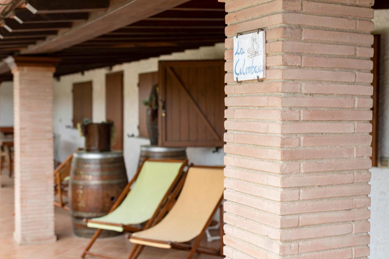 Agriturismo La Rombaia Castiglione della Pescaia Eksteriør billede